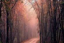 荷兰足球名将范迪克堪称全能球员